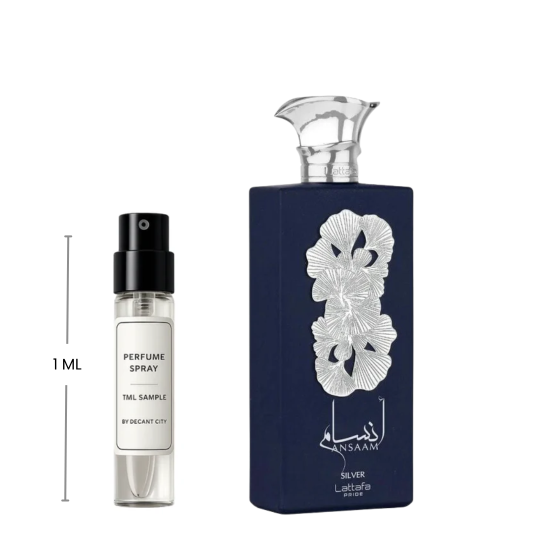 Lattafa Ansaam Silver, Men’s Fragrance