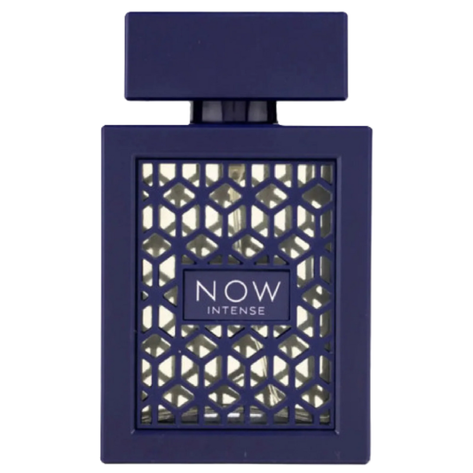 Rave Now Intense by Rave | Eau de Parfum | 100ml / 3.4oz | For Men
